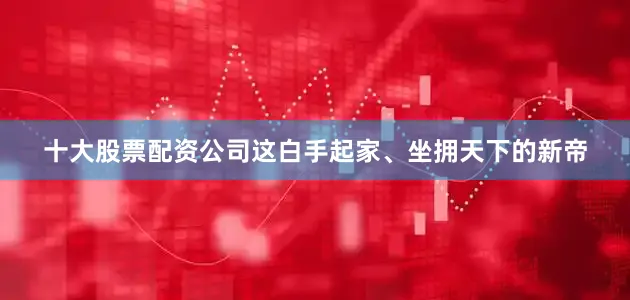 十大股票配资公司这白手起家、坐拥天下的新帝