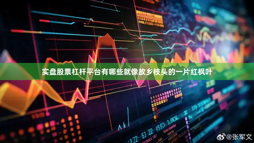 实盘股票杠杆平台有哪些就像故乡枝头的一片红枫叶