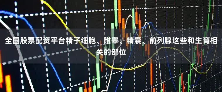 全国股票配资平台精子细胞、附睾、精囊、前列腺这些和生育相关的部位