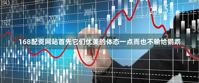 168配资网站首先它们优美的体态一点而也不输给鹦鹉